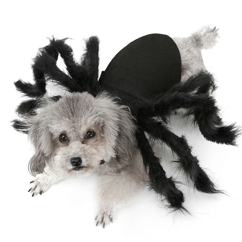 Pet Spider Costume Halloween Simulation Plush Spider Clothe with Adjustable Neck Paste Buckle for Dog Cats Pet Pet Spider Costume Halloween Simulation Plush Spider Clothe with Adjustable Neck Paste Buckle for Dog Cats Pet