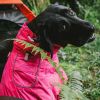 Dog Coats Small Waterproof,Warm Outfit Clothes Dog Jackets Small,Adjustable Drawstring Warm And Cozy Dog Sport Vest-pink size XL