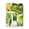 Cardinal with Magnolia Apron Cooking Kitchen Server Baking Crafts Gardening for Adult Women Men, Unisex, Large, Multicolor