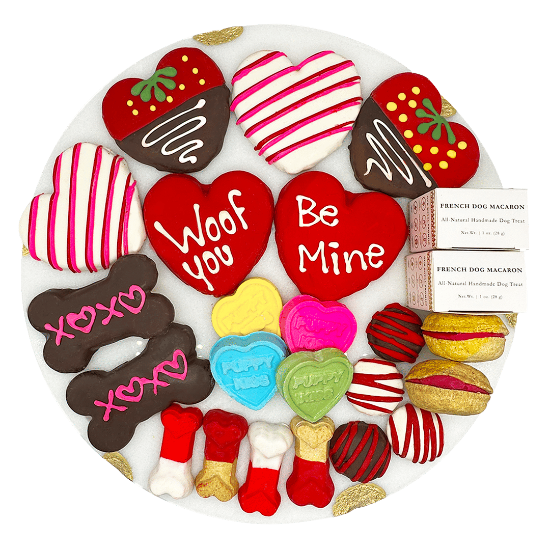 Valentines Love Themed Dog Treats Gift Box